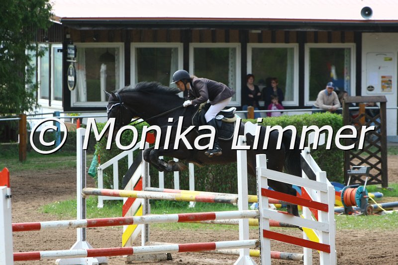 104M3661_Jack Pot_Springpf L.JPG